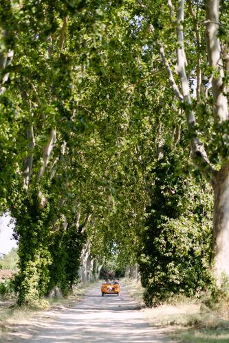 Allée bordée d'arbres menant au Château las Collas