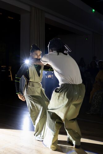 Danseurs réalisant une performance pendant la soirée